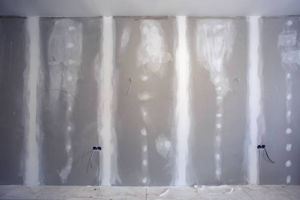 Forensic Mold Investigation in Paulding, OH